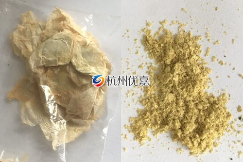 如何利用宋慈高通量多樣品組織研磨儀研磨植物組織？