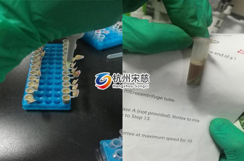 <a href=http://m.yinhe112.com/prouduct/lengdong/ target=_blank class=infotextkey>冷凍研磨儀</a>